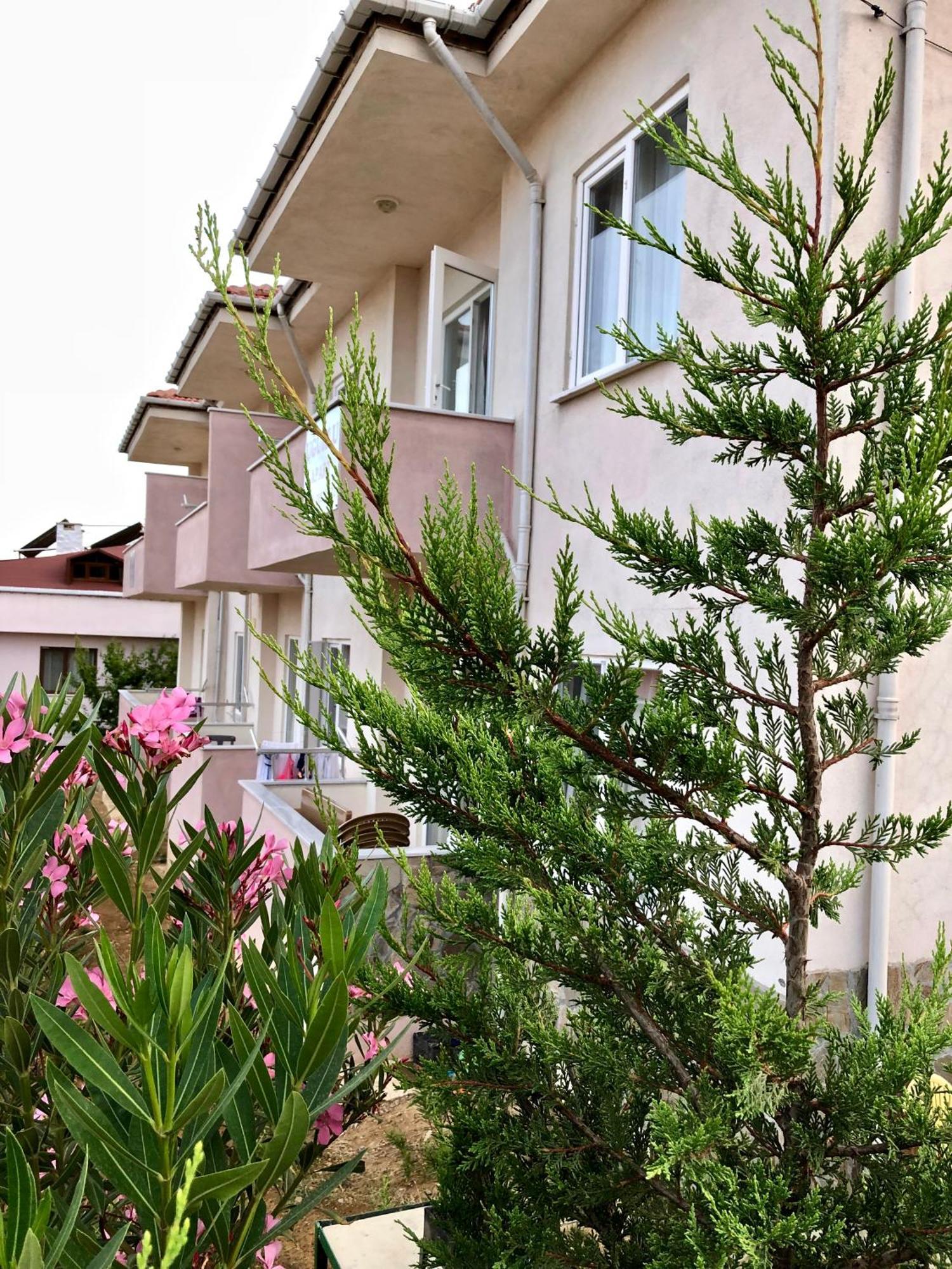 Gökçeada Uğurlu Apart Ugurlu (Gokceada) Exterior foto